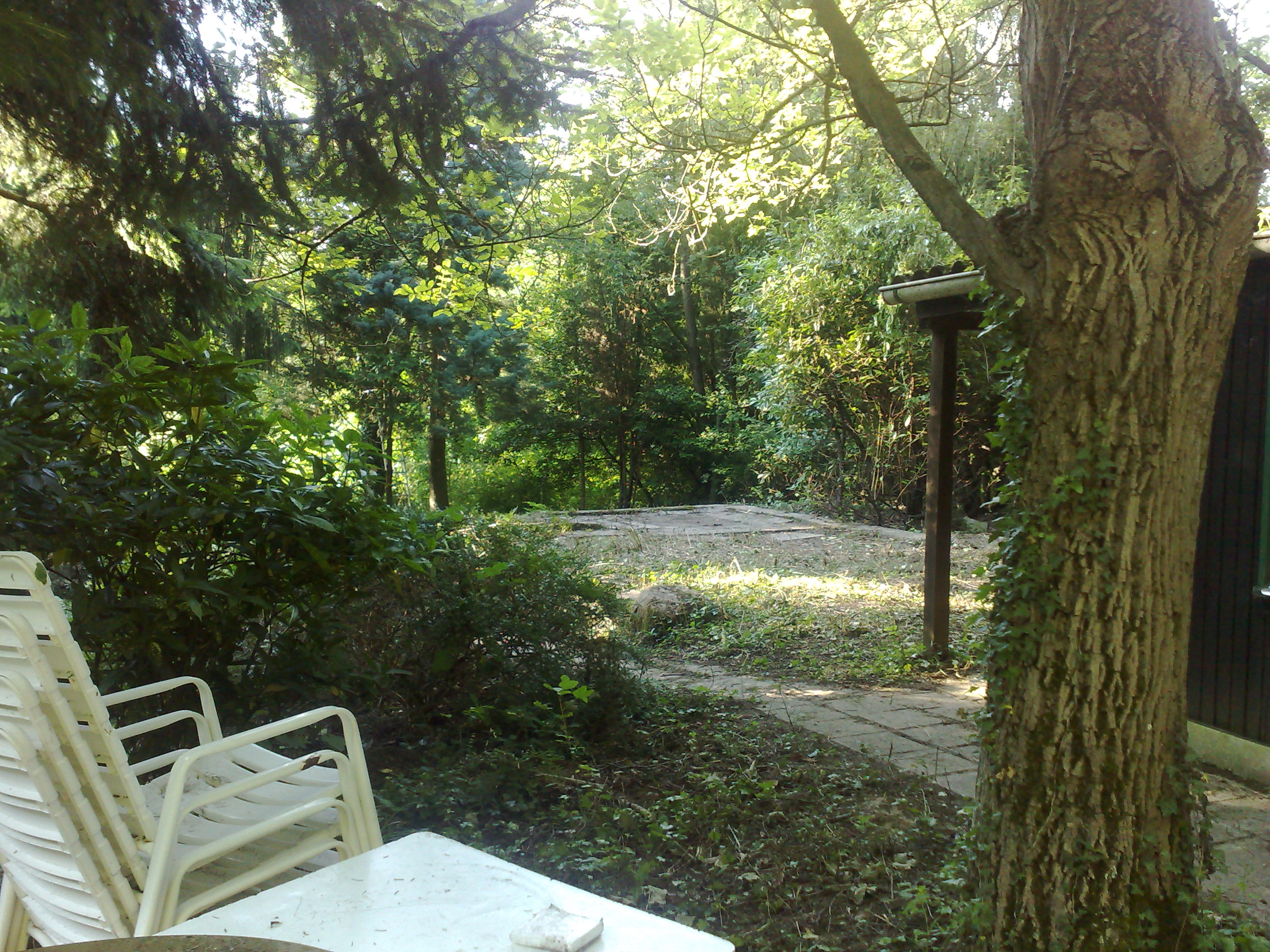 bilder grundstck vogelsang 001